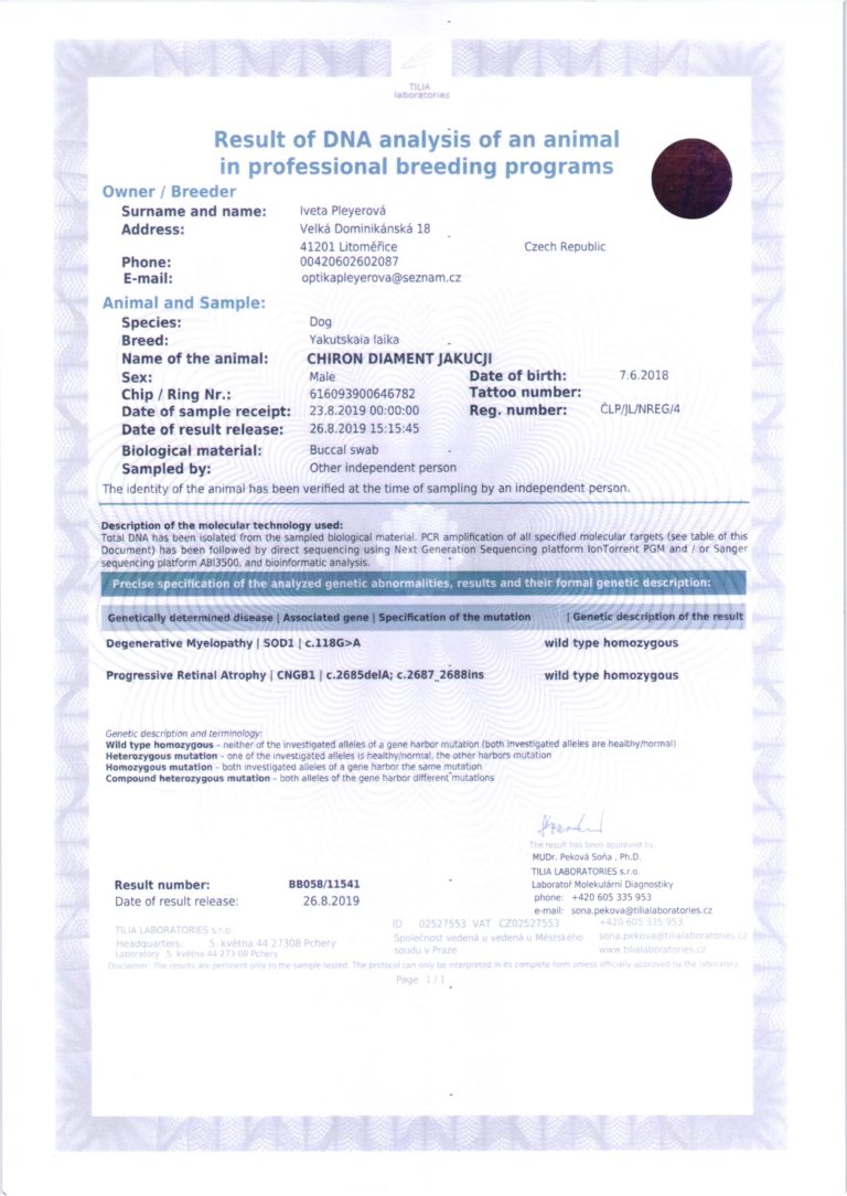 CHIRON Výsledek DNA analýzy zvířete v profesionálním chovu english