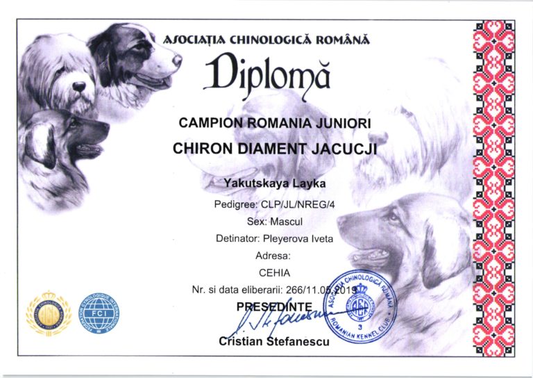 Rumunský Junior Šampion