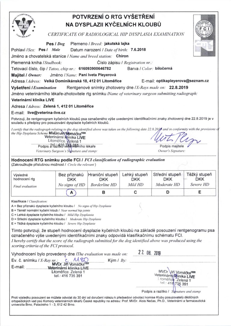  CHIRON Potvrzení o RTG vyšetření na dyslazii kyčelních kloubů