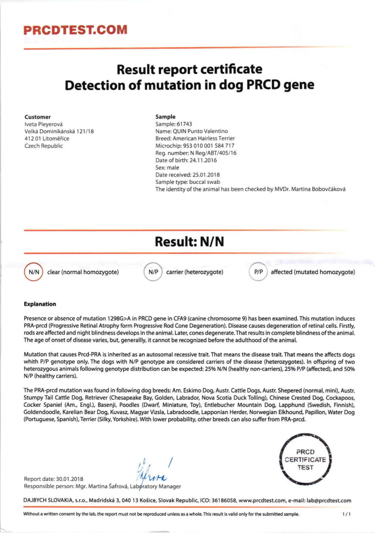 PRCD gen