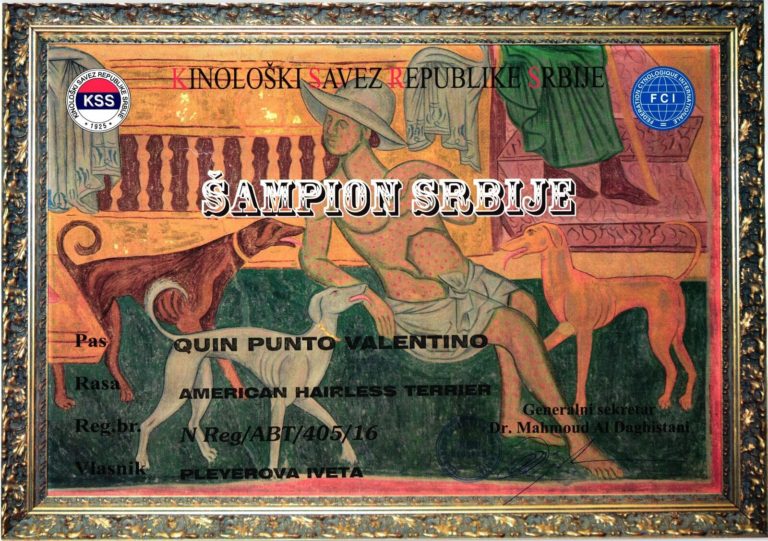 Srbský Šampion