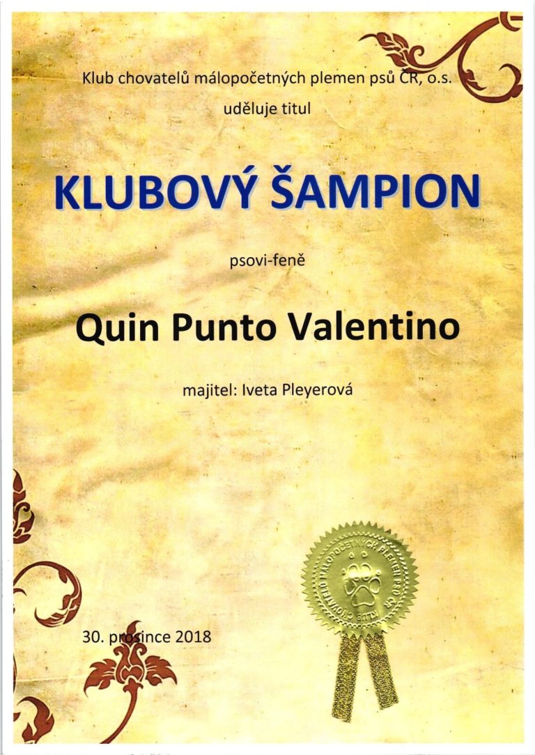Klubový Šampion