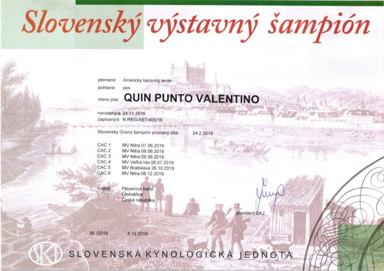 Slovenský Výstavní Šampion