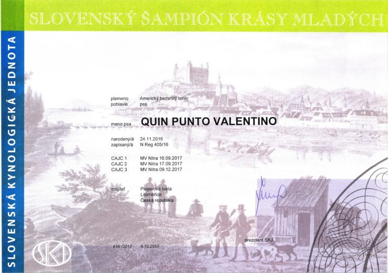 Slovenský Junior Šampion