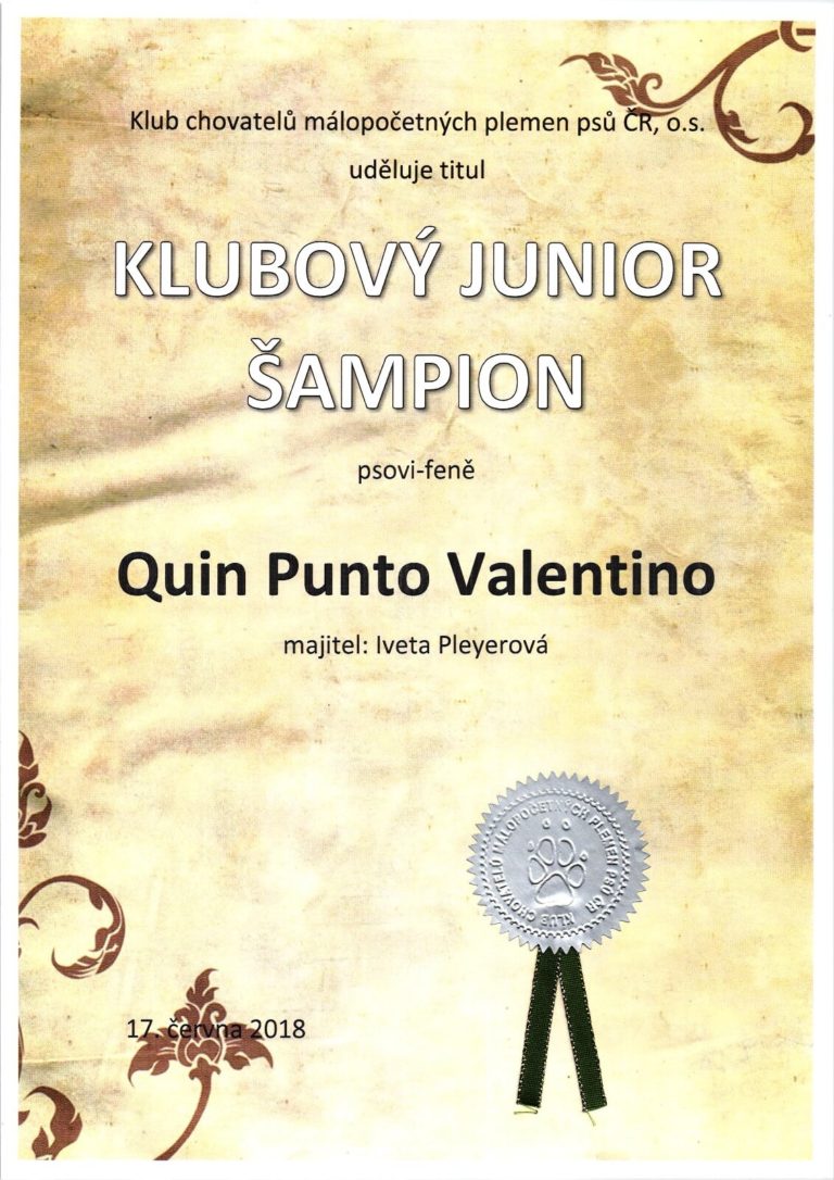 Klubový Junior Šampion
