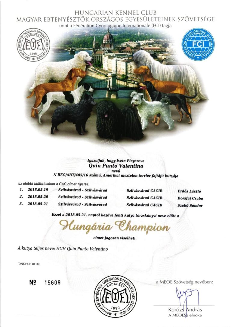 Maďarský Šampion