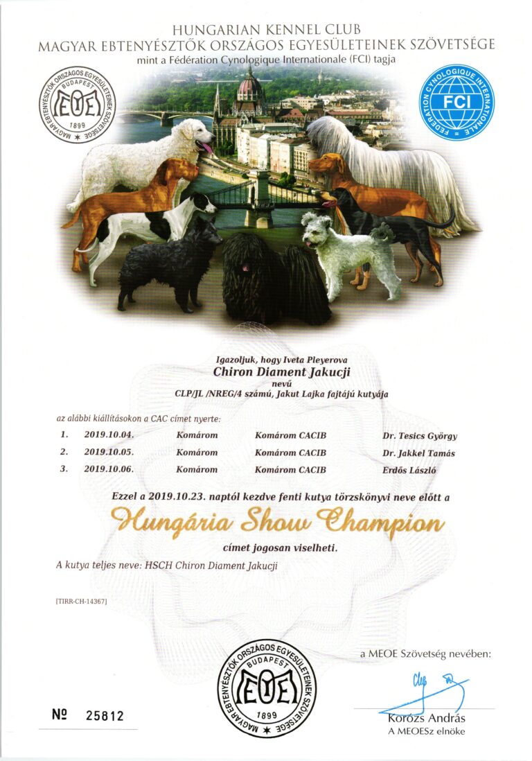 Maďarský Show Šampion