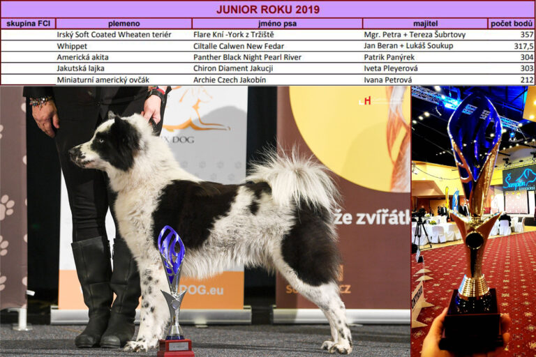  4.místo JUNIOR ROKU 2019