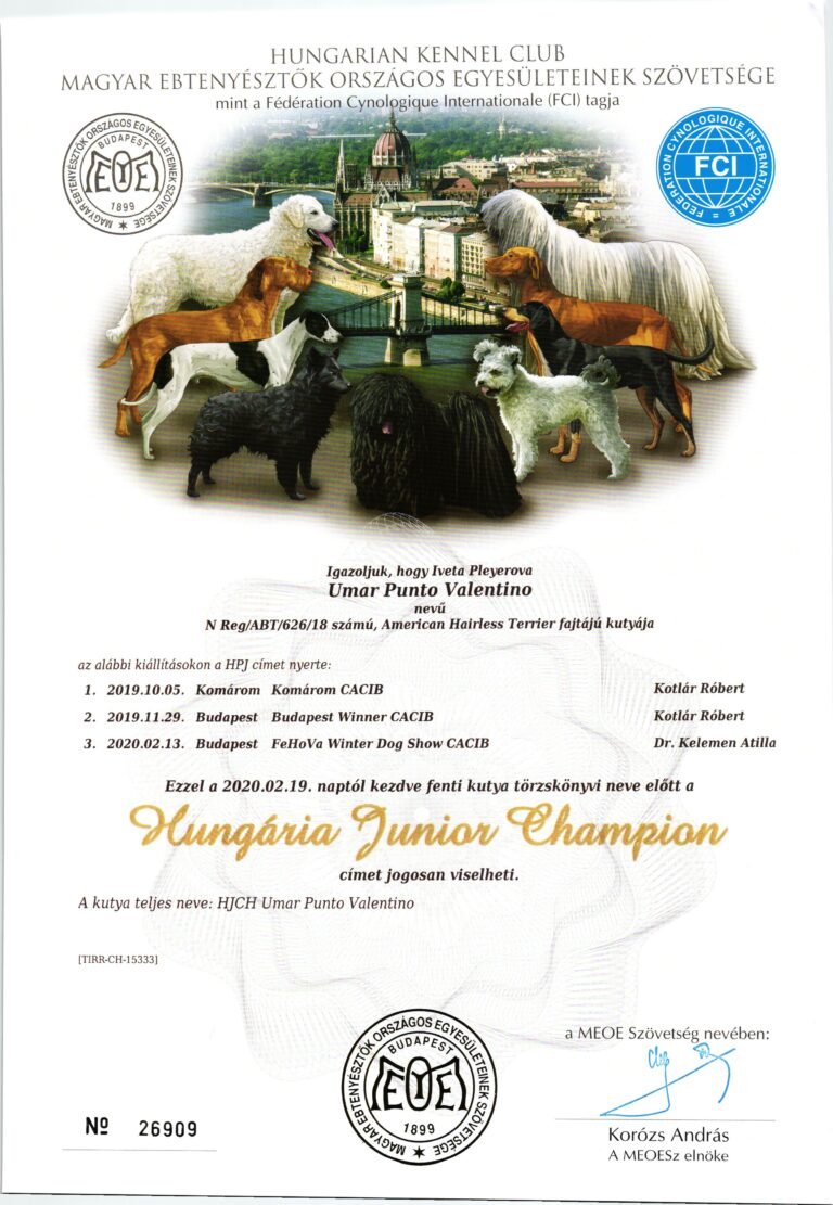 UMAR Maďarský Junior Šampion