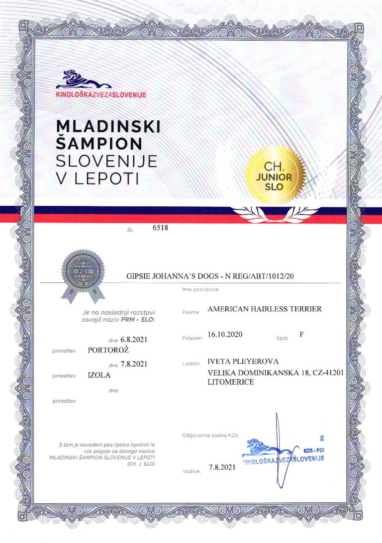 1.Gipsie Slovinský Junior Šampion