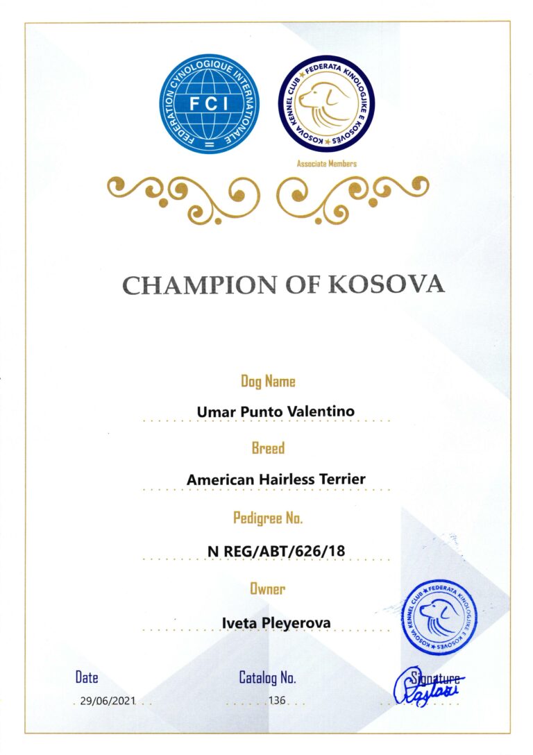 Umar Šampion Kosova