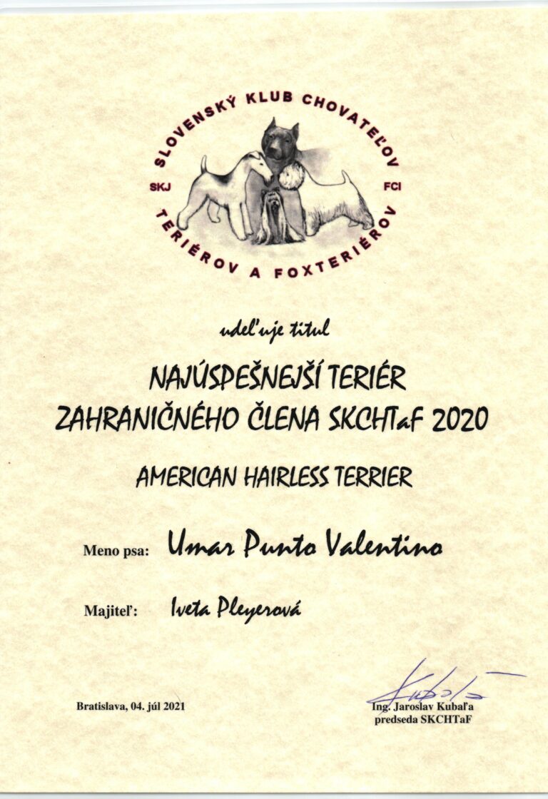 Umar Nejúspěšnější teriér zahraničního člena SKCHTaF 2020