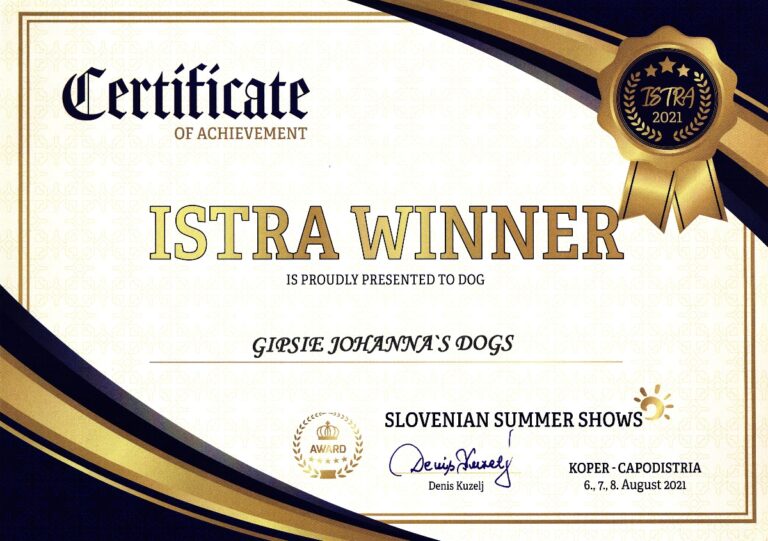 2. Gipsie1 ISTRA WINNER 2021