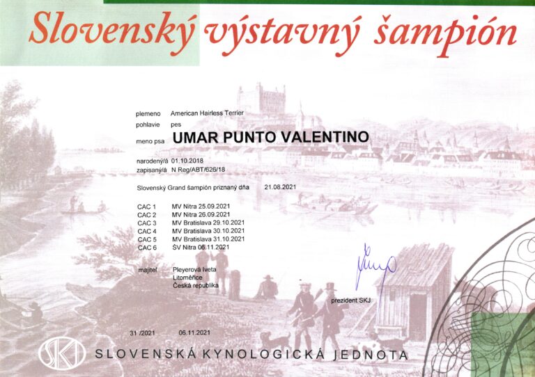 UMAR Slovenský Výstavní Šampion