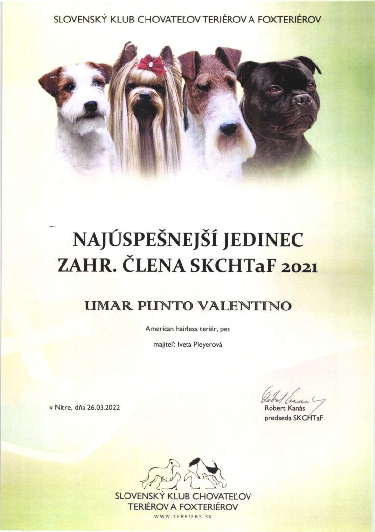 UMAR   Nejúspěšnější teriér zahraničního člena SKCHTaF 2021