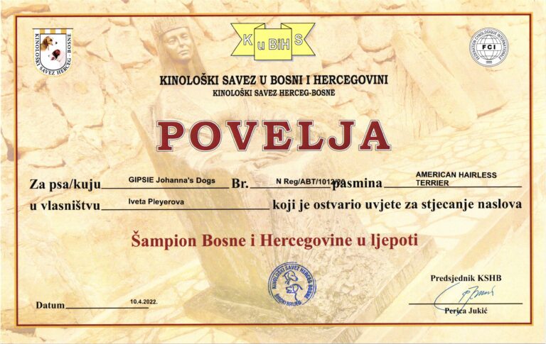 5. Gipsie Šampion Bosny a Hercegoviny