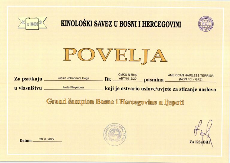 10. Gipsie Grand Šampion Bosny a Hercegoviny