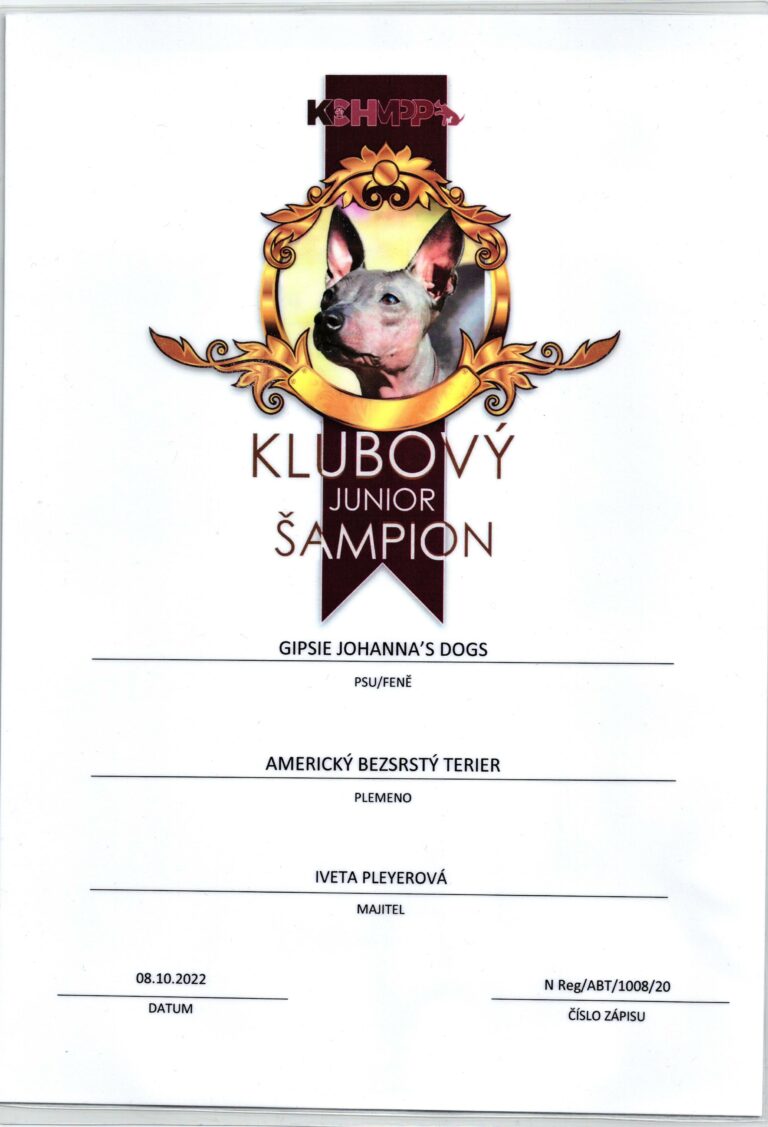 11. Gipsie Klubový Junior Šampion