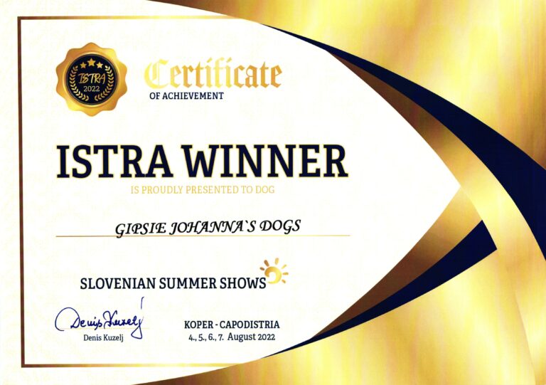 8. Gipsie ISTRA winner 2022