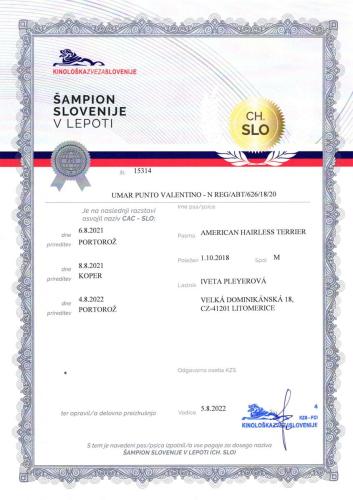 35.-Umar-Slovinsky-Sampion-scaled