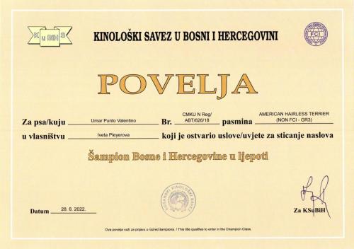 37.-Umar-Sampion-Bosny-a-Hercegoviny-scaled