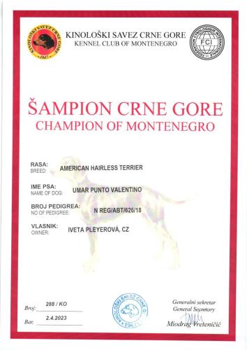 39.-Umar-Sampion-Cerne-Hory-scaled