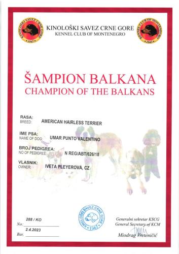 40.-Umar-Balkansky-Sampion-scaled