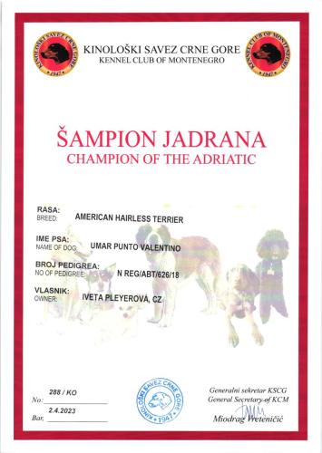 41.Umar-Sampion-Jadranu-scaled