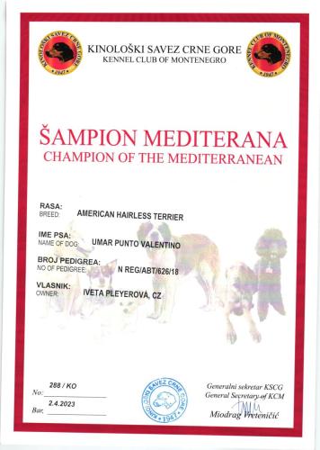 42.-Umar-Sampion-Stredomori-scaled