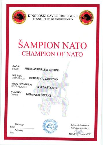 43.-Umar-Sampion-NATO-scaled