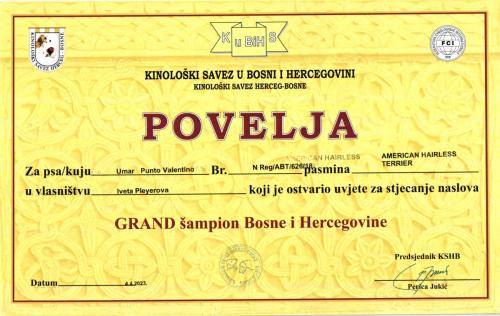 44.-Umar-Grand-Sampion-Bosny-a-Hercegoviny-scaled