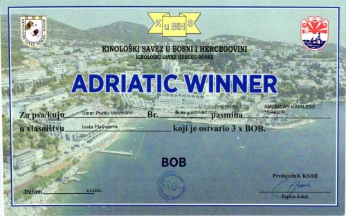 45.-Umar-ADRIATIC-WINNER-scaled