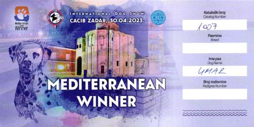 49.-Umar-Mediterranean-Winner-2023